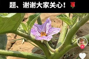 有点可惜！斯科蒂-巴恩斯23中12&三分8中4 空砍32分14板7助1帽